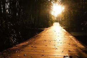 Light on a Path